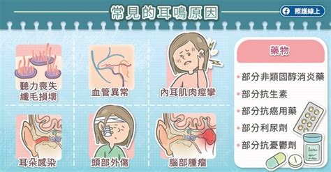 左耳一直有聲音|耳鳴／耳朵嗡嗡叫…這些原因都會耳鳴！耳鳴有哪幾種…